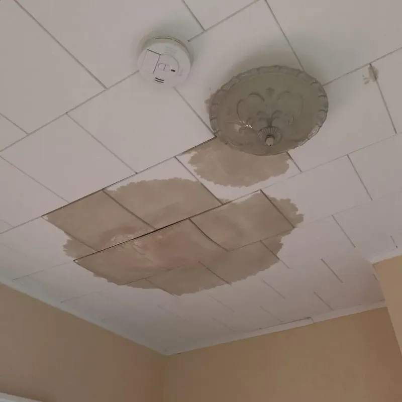 Ceiling Water Damage Repair in City of Manassas, VA