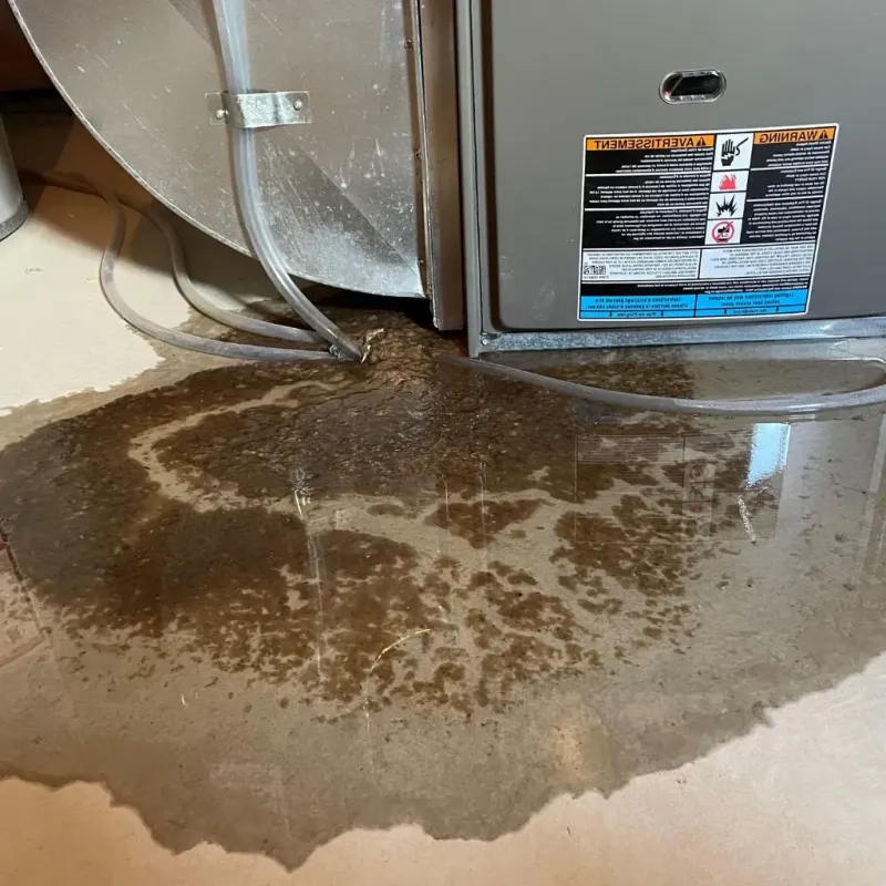 Pipe Burst and Leak Restoration in City of Manassas, VA