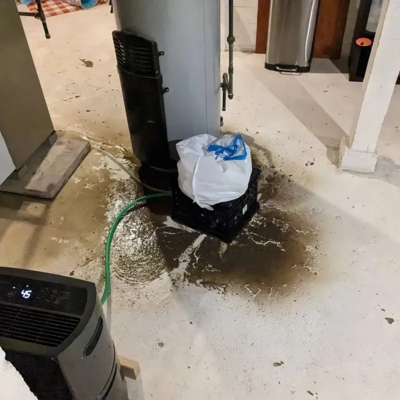 Sewage Backup Cleanup Service in City of Manassas, VA
